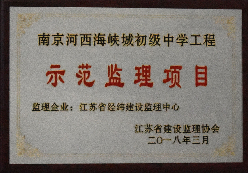 2018年示范监理项目