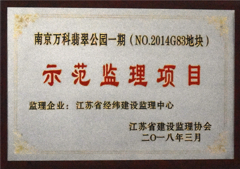 2018年示范监理项目