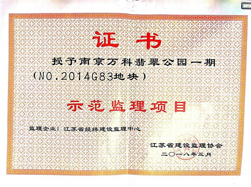 2018年示范监理项目